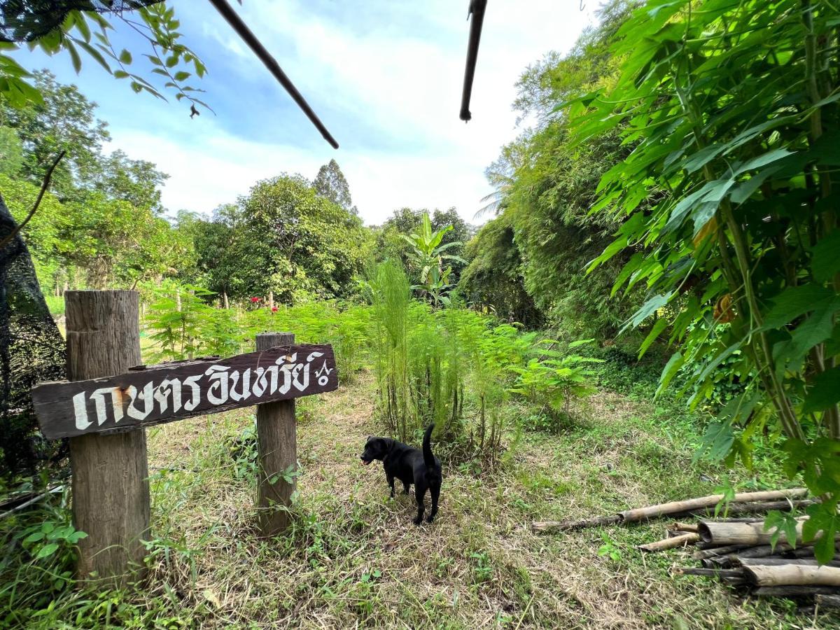 Phow Homestay Ban Mai  외부 사진